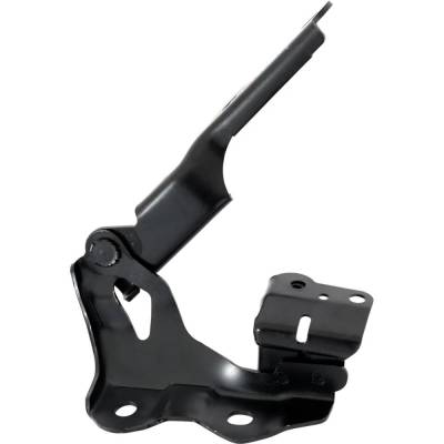 Rareelectrical - New Right Hood Hinge Compatible With Lexus Gs200t Base Gs200t F Sport Gs300 F Sport Gs450h Base