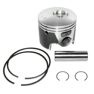 Rareelectrical - New 3.874In Piston Kit Compatible With Johnson / Evinrude 200 - 250 Hp 3.3L E-Tec 04-14 Port .020