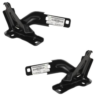 Rareelectrical - New Pair Of Hood Hinge Compatible With Volkswagen Beetle Final Edition Sel 4 Cyl 2.0L Beetle R-Line