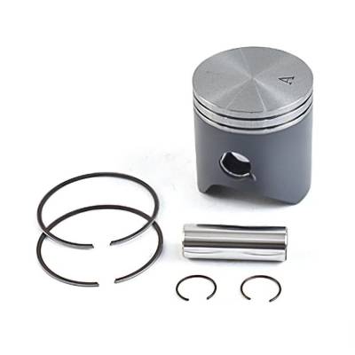 Rareelectrical - New Piston Kit 53.94Mm Compatible With Husqvarna Tc 125 2014-2024 Te 125 2014-2016 Tx 125 2017-2018