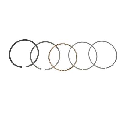 Rareelectrical - Piston Ring Set Standard Bore Compatible With 1988-2000 Honda Trx300 Fourtrax 300 Trx300fw 4X4 282Cc