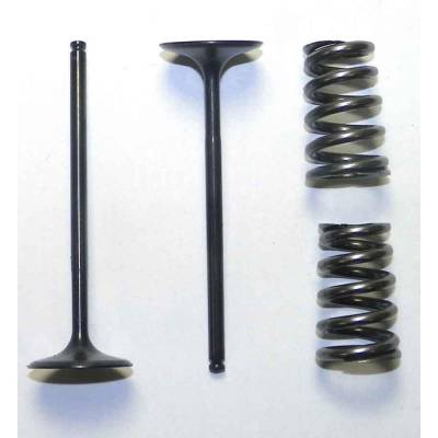 Rareelectrical - Intake Valve Compatible With 2005-2007 Ktm 250 Sx-F 250 Exc-F 249Cc 4-Stroke Dohc Liquid-Cooled Ti