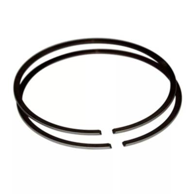 Rareelectrical - Piston Rings Compatible With 1976-2001 Johnson Evinrude 2-Stroke Outboard 40Hp 48Hp 50Hp 2-Cylinder