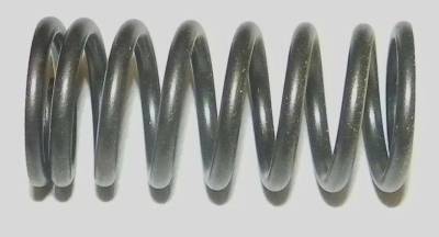 Rareelectrical - New Valve Spring Compatible With Sea-Doo Gtx 2002-2016 Gti 2006-2016 Gts 130 2011-2016 Gtr 215