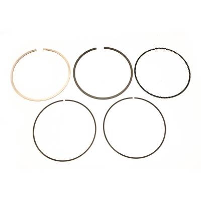 New .5Mm Bored Over 94.5Mm Piston Rings Compatible With Honda By Part Numbers 02.1494.050