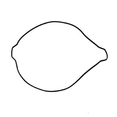 Rareelectrical - New Clutch Cover Gasket Compatible With Ktm Rr 450Cc 2014 Xc-F 505Cc 2008-2009 Exc 450Cc 2007 Xc - Image 1