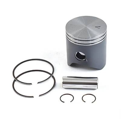 Rareelectrical - New 53.96Mm Bore Piston Kit Compatible With Gas Gas Husqvarna Ktm Exc 125Cc 2001-2015 Tx 125Cc - Image 1