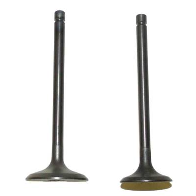 New Engine Valve Kit Compatible With Yamaha Ytm 200Cc Yfm 225Cc Timberwolf 250Cc Bear Tracker 250Cc