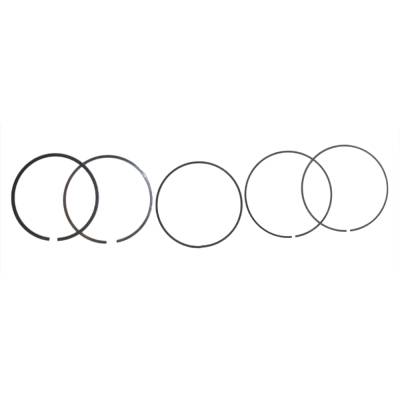 New 1Mm Bored Over 101Mm Piston Rings Compatible With Honda By Part Numbers 02.1661.100