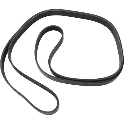New 6 Rib Drive Belt Compatible With Ford Lincoln F-150 Xl 8 Cyl 5.4L Expedition Limited 8 Cyl 5.4L