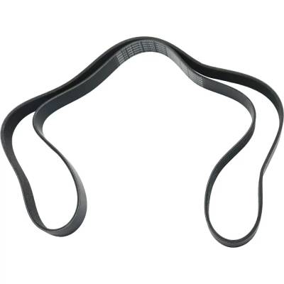 New 7 Rib Drive Belt Compatible With Acura Honda Cr-V Lx 4 Cyl 2.4L Tsx Base 4 Cyl 2.4L Cr-V Ex 4