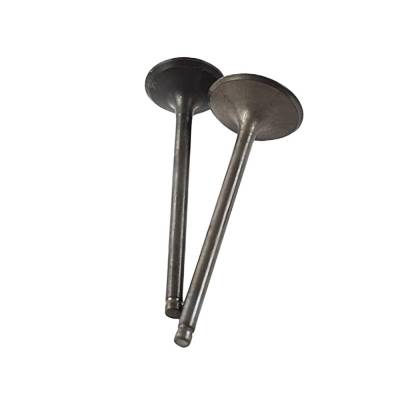 New Engine Valve Kit Compatible With Honda Trx-Ex 250Cc Engine By 017-026