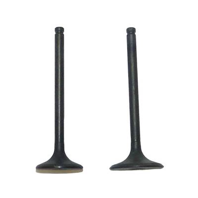 New Engine Valve Kit Compatible With Honda Trx 250Cc Engine By 017-021