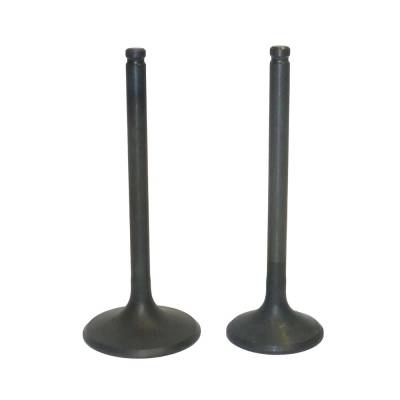 New Engine Valve Kit Compatible With Honda Trx-Fm / Fe 350Cc Trx-Tm / Te 350Cc Engine By 017-029