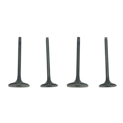 New Engine Valve Kit Compatible With Honda Trx-R 450Cc Engine By 017-028