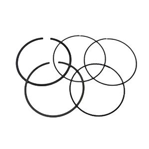 New Standard Piston Rings Compatible With Sea-Doo Fish Pro Sport 170 1630Cc 2022-2026 Fish Pro