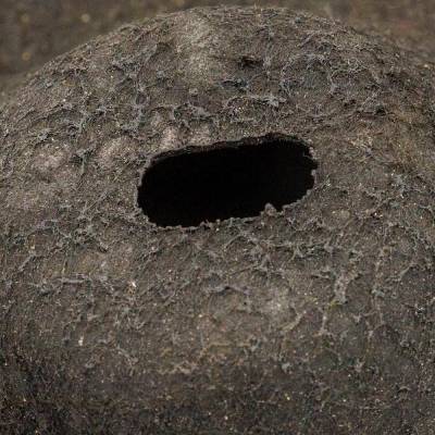 Rareelectrical - Inner Fender Splash Shield Compatible With 2019-2022 Lexus Es350 Avalon Driver Side Rear 3.5L V6 - Image 8