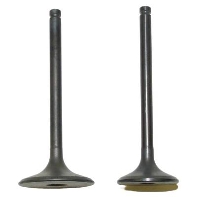 Valve Kit Compatible With 1995-2003 Honda Trx 400Fw Foreman 4X4 395Cc Air Cooled 4-Stroke Sohc