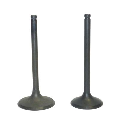 Valve Kit Compatible With 1998-2004 Honda Trx 450 Foreman Es S Fm Fe 4X4 433Cc Air Cooled 4-Stroke