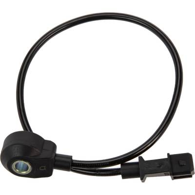 Evap Vapor Canister Assembly Compatible With 2006-2015 Volkswagen Passat Cc 3.6L V6 Vr6 022905376