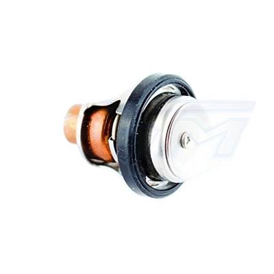 New Outboard Engine Thermostat 140°F (60°C) Compatible With 1984-2007 Johnson/Evinrude 9.9-70Hp