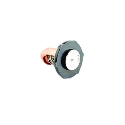 New Outboard Engine Thermostat 140°F 60°C Compatible With 2016-2022 Yamaha F75 75Hp F90 90Hp 4-Cyl