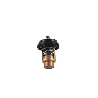 New Outboard Engine Thermostat N/A Compatible With Various Johnson/Evinrude Various Marine Motor