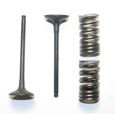 Exhaust Valve Compatible With 2007-2024 Suzuki Suzuki Rm-Z250 Titanium Replacement Direct Fit Engine