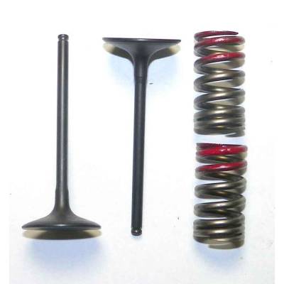 Intake Valve Compatible With 2004-2006 Kawasaki / Suzuki Kx250f Rm-Z250 249Cc 4-Stroke Dohc