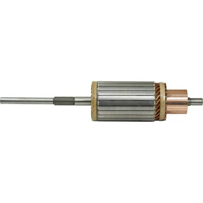 Starter Armature 50Mt 24 Volt Compatible With Caterpillar Wheel Loaders Dozers Cummins Diesel Heavy